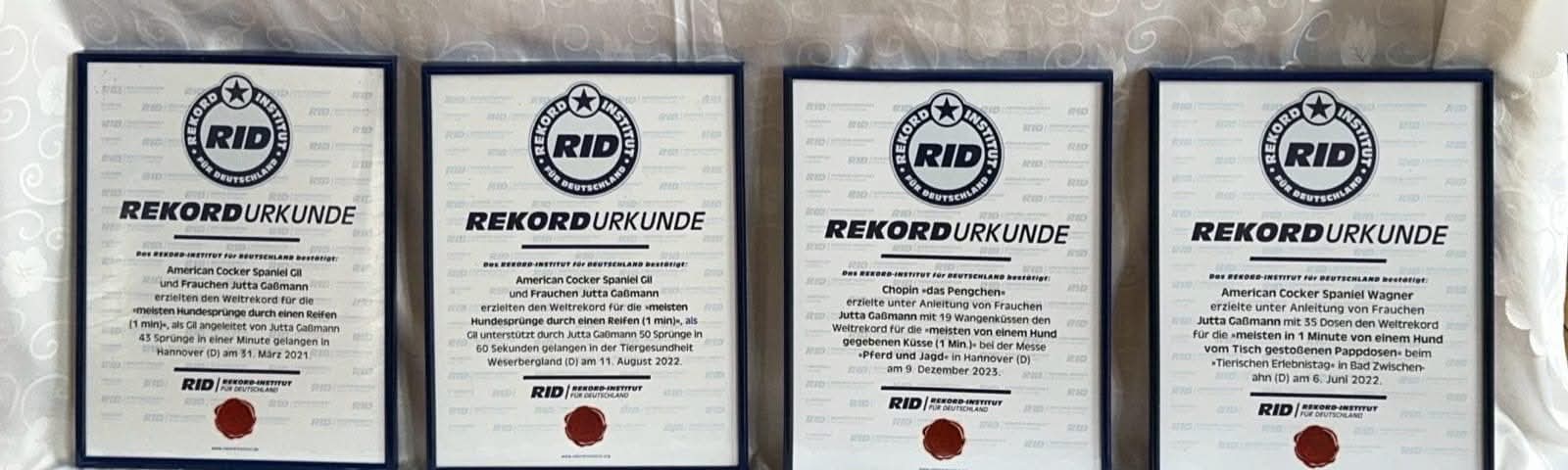 Vier gerahmte RID-Rekordurkunden der Cockergang nebeneinander