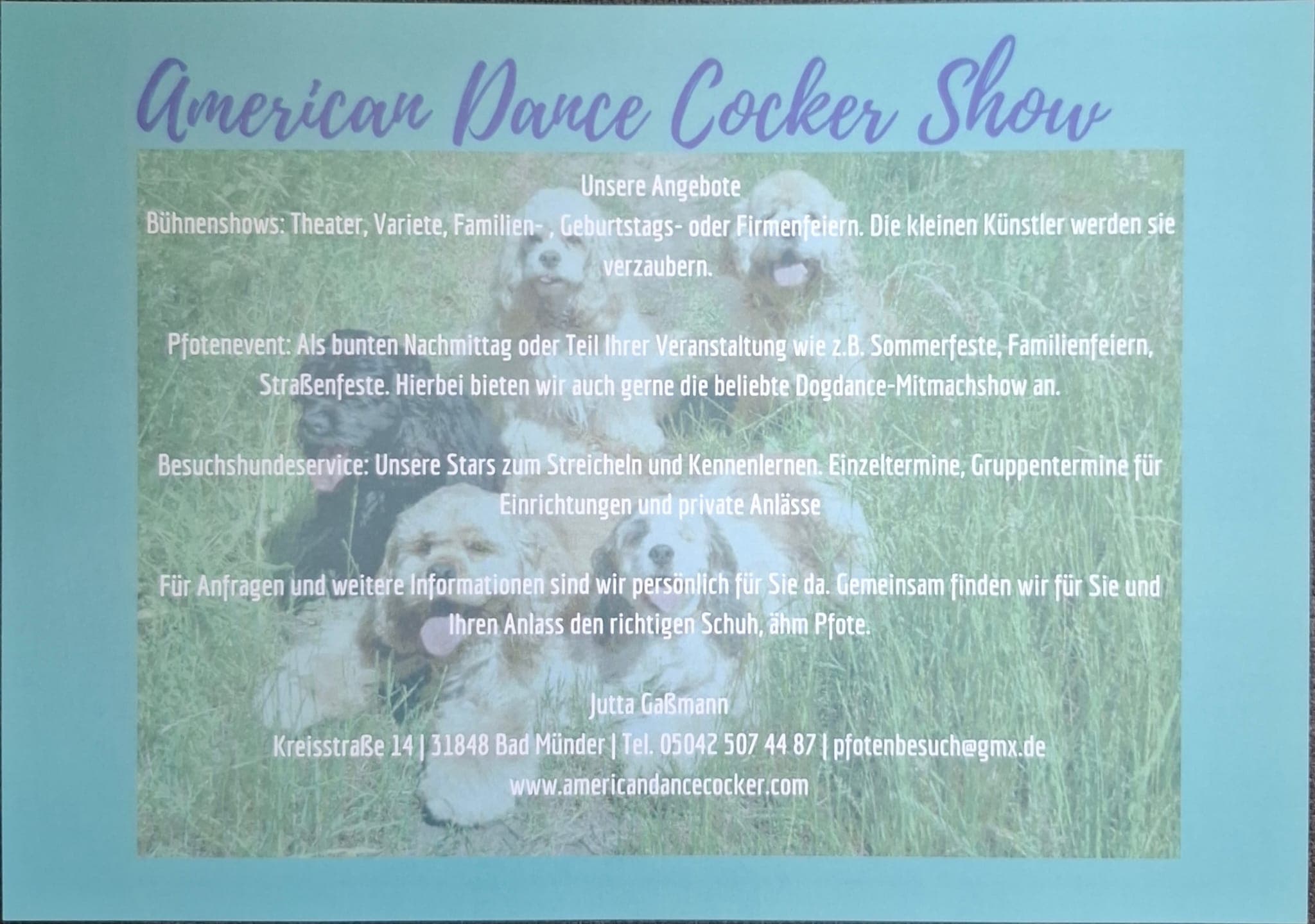 Die erste Postkarte der American Dance Cocker Show mit der Cockergang auf der Wiese